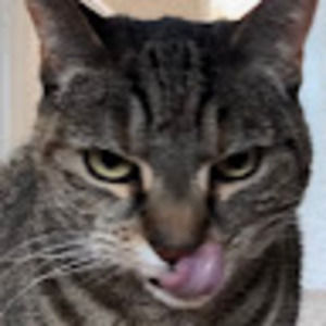 Meet your Posher, Eden